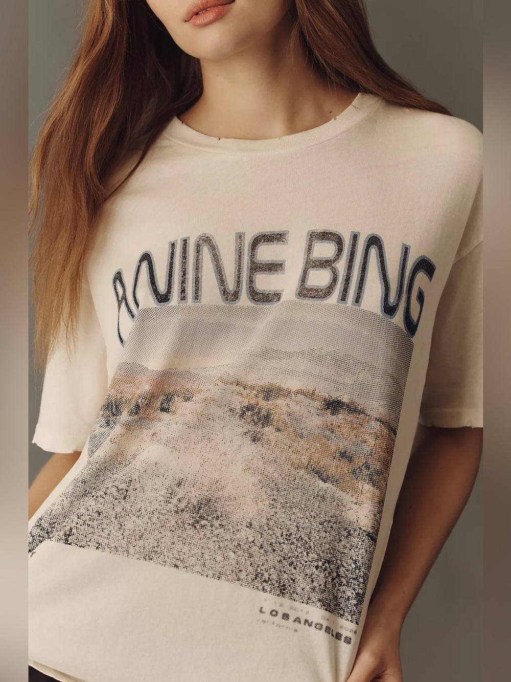Anthropologie Anine Bing Cade 100% Cotton Wildflower Graphic Tee Small $140